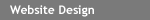 Web Strategy